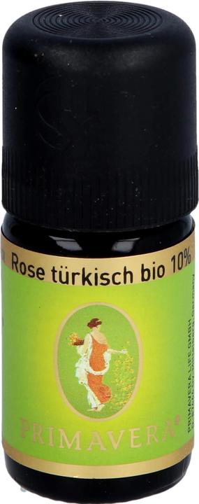 Primavera Rose türkisch