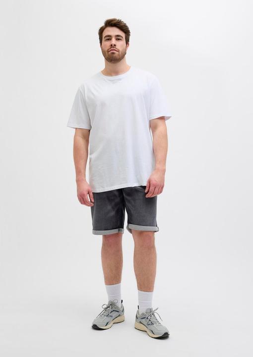 Image du produit Jack & Jones JJIRICK JJICON I.K. SHORTS GE 062 SN PLS (W42)