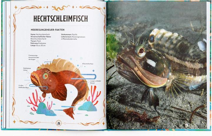 Produktbild Echte Meeresungeheuer (Deutsch, Jianan Liu, Anita Ganeri, Frederik Kugler, 2024)