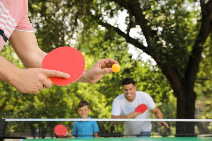 Actual product image Idena Table Tennis Bat Training