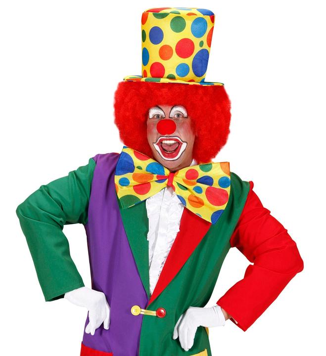 Actual product image Widmann Giant fly clown
