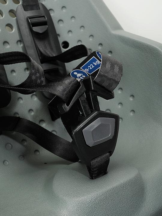 Image du produit Thule Yepp 2 Maxi- Frame Mount - Agave