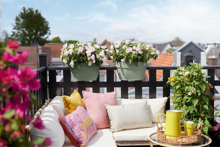 Image du produit Elho Vibia Campana Flower Bridge (26 cm)