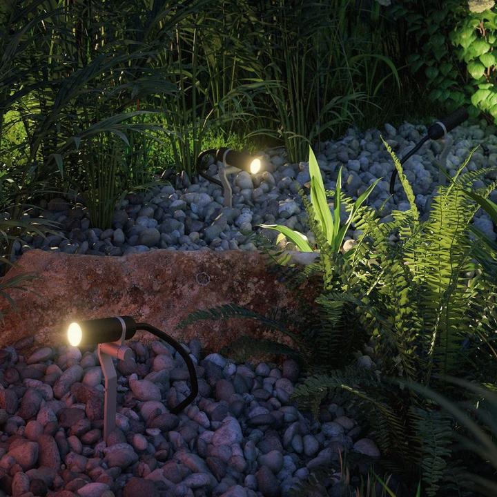 Actual product image Paulmann Outdoor Plug & Shine Plantini supplementary set (200 lm, IP65)