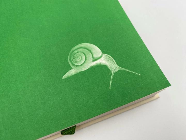 Produktbild Das Geräusch einer Schnecke beim Essen (Deutsch, Elisabeth Tova Bailey, Kathy Bray, Kathrin Razum, 2023)