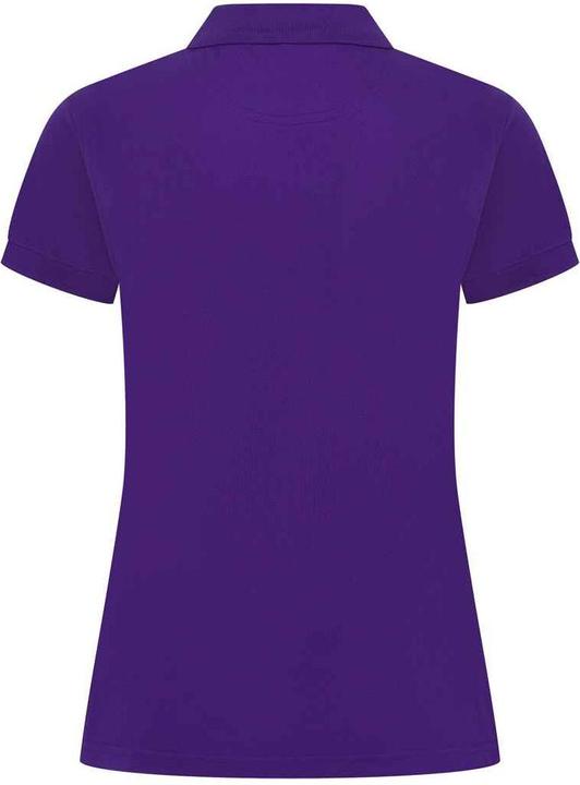 Immagine prodotto Henbury Polo (XL)