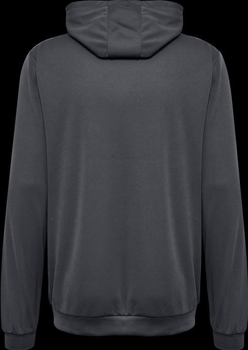 Actual product image hummel Hmlauthentic Pl Hoodie (XL)