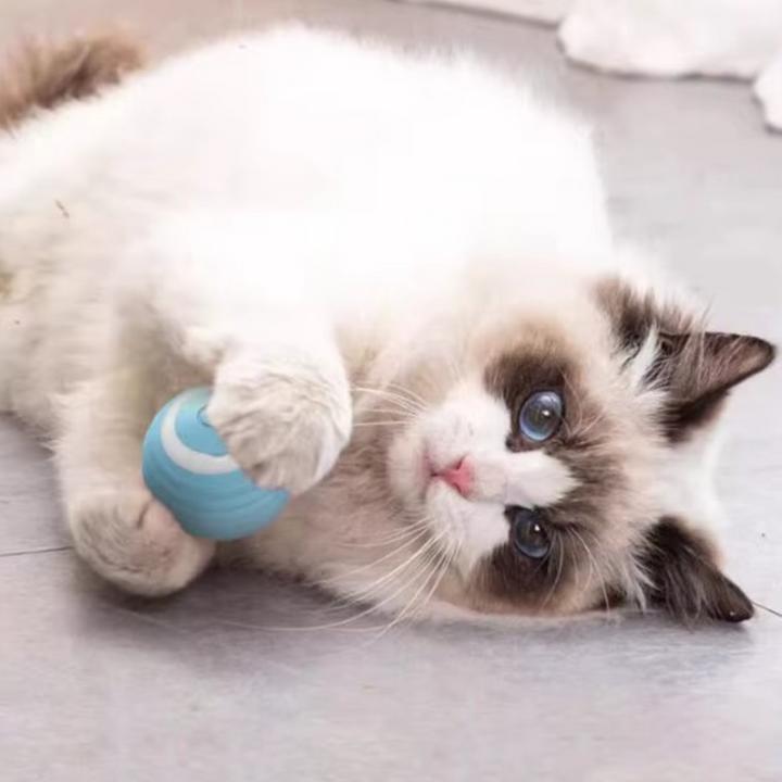 Image du produit Suba Balle électrique pour chat avec lumière LED (Jouet à balle chat)