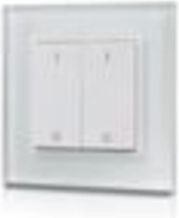 Actual product image Synergy 21 LED Controller EOS 09 EnOcean Dual Dimmer Switch