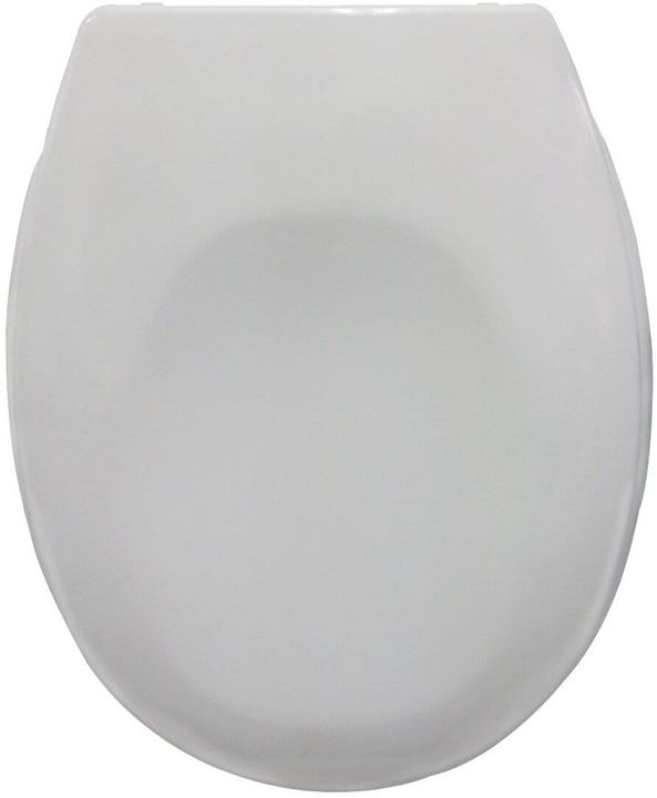 Coperchio del WC