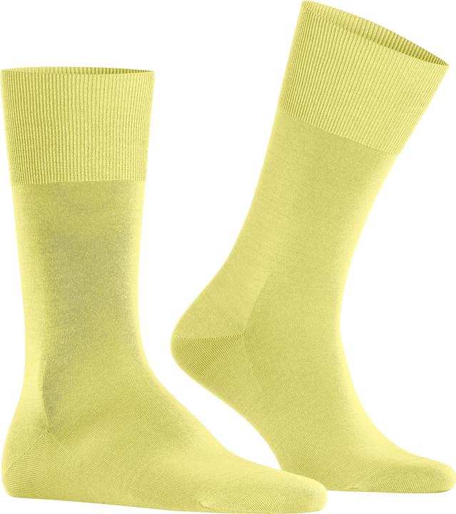 Produktbild Falke ClimaWool Herren (43 - 44)