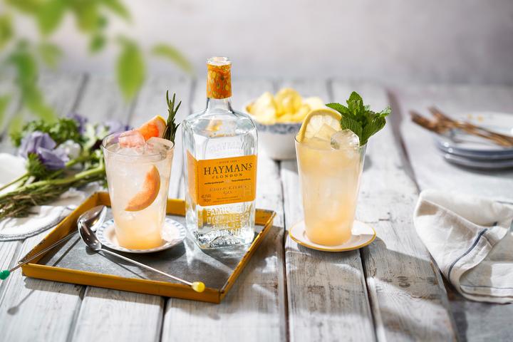Immagine prodotto Hayman's Agrumi esotici (1 x 70 cl)