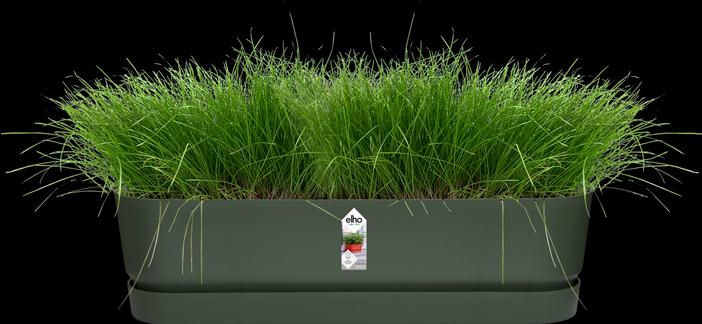 Produktbild Elho Blumenkasten (19.10 cm)