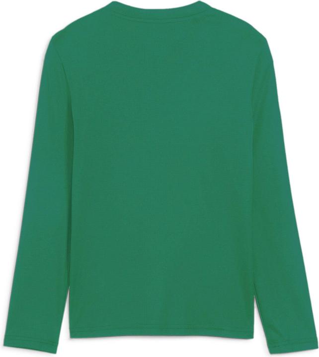 Image du produit Puma teamGOAL Baselayer Tee LS Jr. (116)