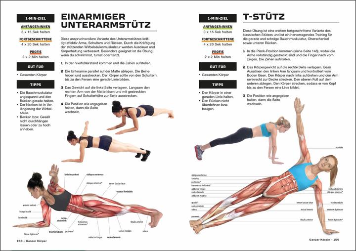 Image du produit Fit und stark in 10 Minuten (Allemand, Sean Adams, 2023)