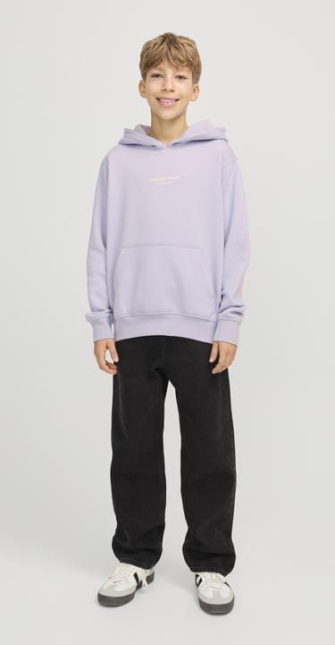 Produktbild Jack & Jones Jorvesterbro Sweat Hood Noos Jnr (176)