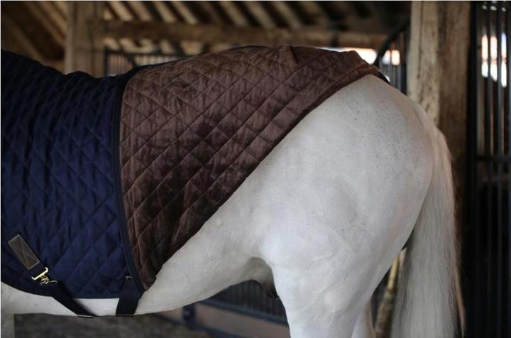 Produktbild Kentucky Horsewear Walkerdecke 160g (155 cm)