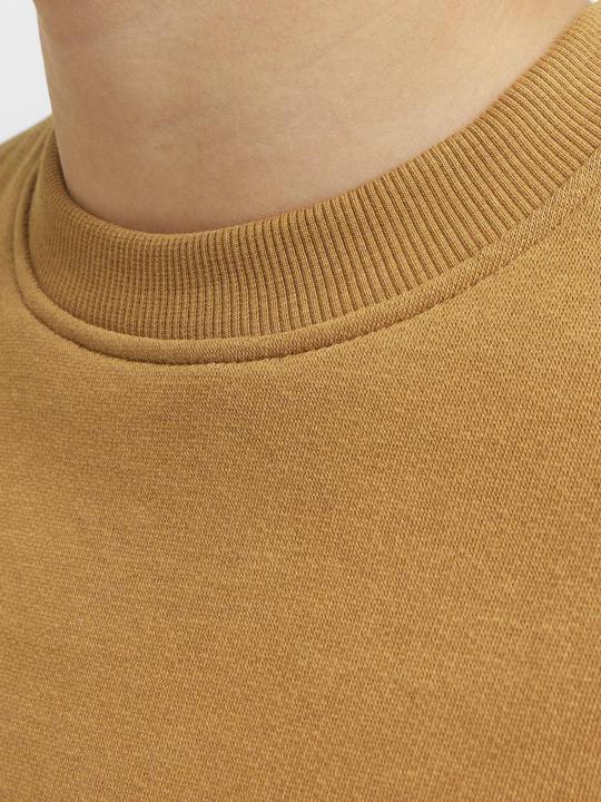 Produktbild Jack & Jones Jorcollect Edt Loose Sweat Crew Jnr (140)