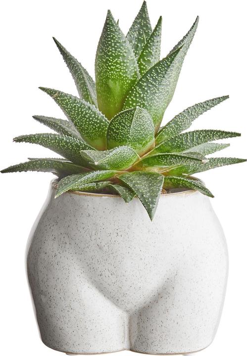 Immagine prodotto home24 Botty (11.50 cm)