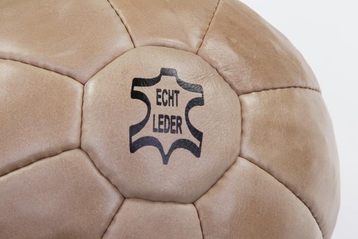 Actual product image Tanga Sports Leather medicine ball, 1.5 kg (1.50 kg)