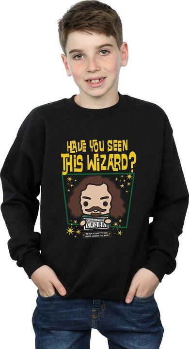 Produktbild Sirius Black Azkaban Junior Sweatshirt Jungen (152, 158)