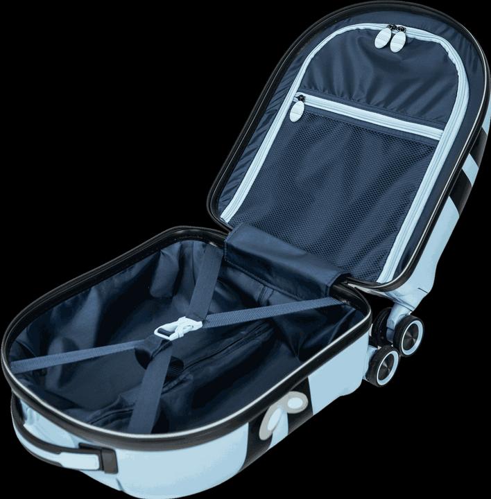 Actual product image Swissbags S (36 l, Hand luggage (up to 50 litres))