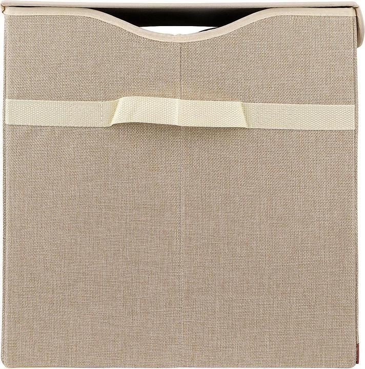 Actual product image Bieco Dust box 'Lion