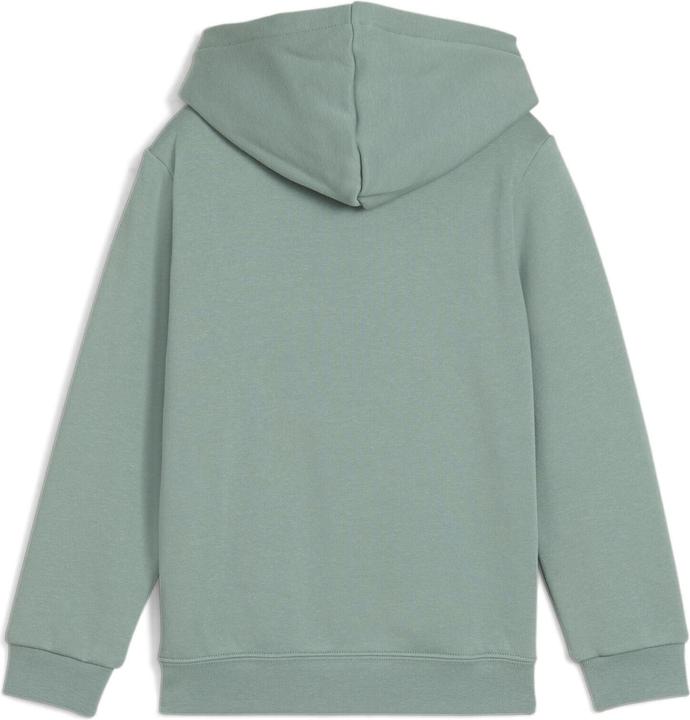 Actual product image Puma ESS No. 1 Logo Hoodie FL PS (116)