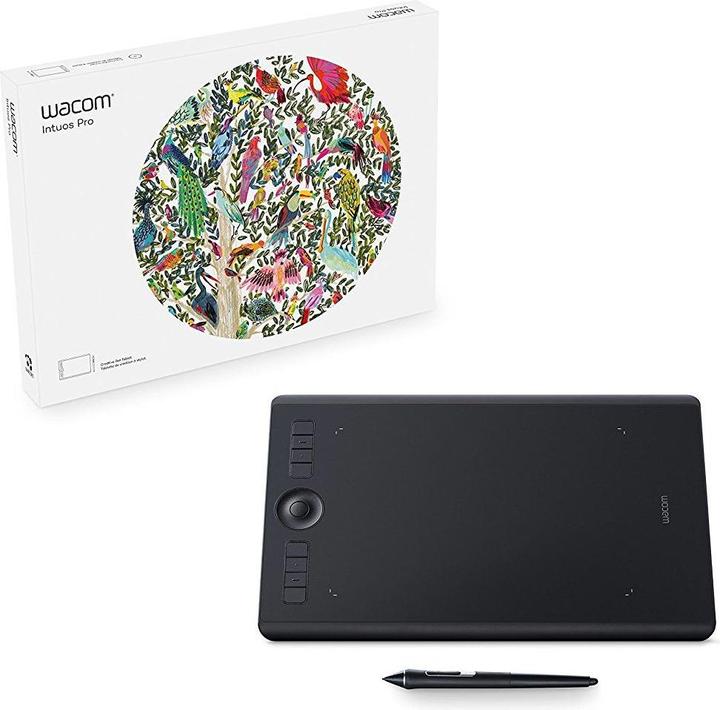Image du produit Wacom Intuos Pro M, Sud (5080 lpi)