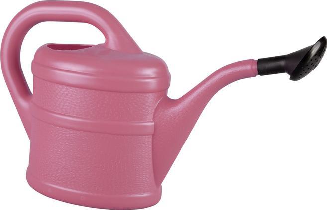 Image du produit Geli Arrosoir, 2 litres, en plastique violet, 31x11x20 cm, avec bec verseur extra-long et précis (2 l)