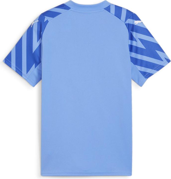Produktbild Puma SFV GK Jersey SS Replica Jr (128)