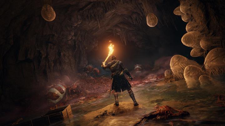 Produktbild Bandai Namco Elden Ring (PS5, Multilingual)