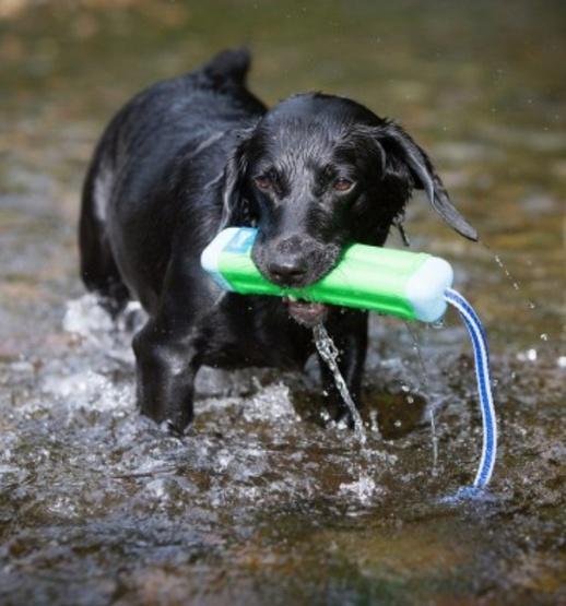 Actual product image Chuckit! Amphibious Bumper Assorti (Dog chew toy)