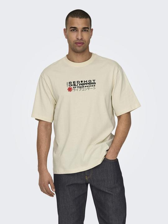 Actual product image Only & Sons Loose fit round neck T-shirt T-shirt (L)