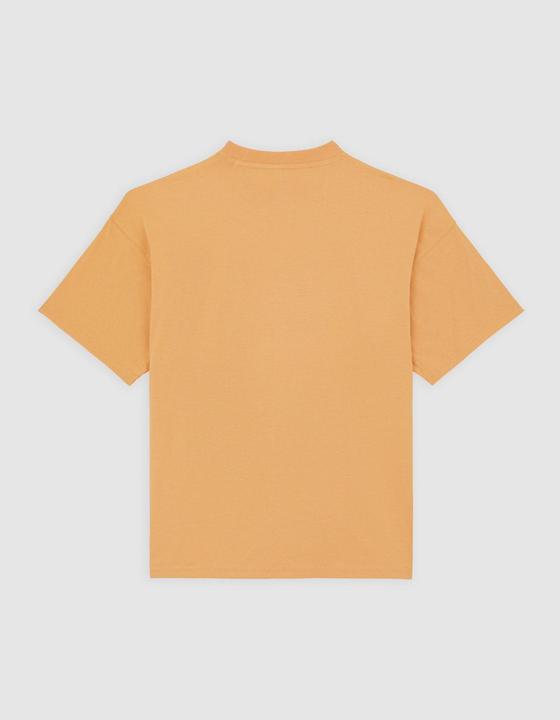 Produktbild Dickies Enterprise Tee Ss Oak Buff (XL)