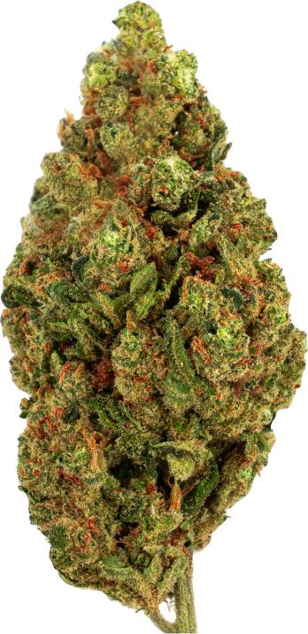 Image du produit Green Passion Passion Kush (10 g, Intérieur)