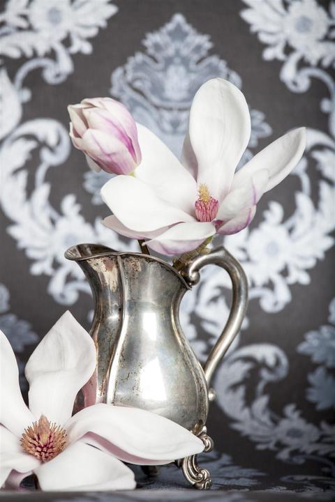 Actual product image Tulip magnolia (80 cm)