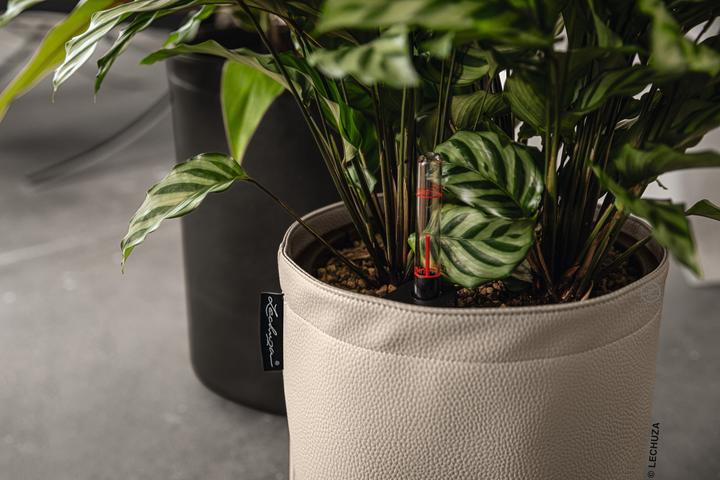 Image du produit Lechuza Trendcover Cuir végétalien.