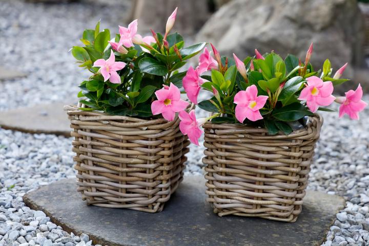 Actual product image Jaco Basket Utara (1 x, 14 x 14 x 13 cm)