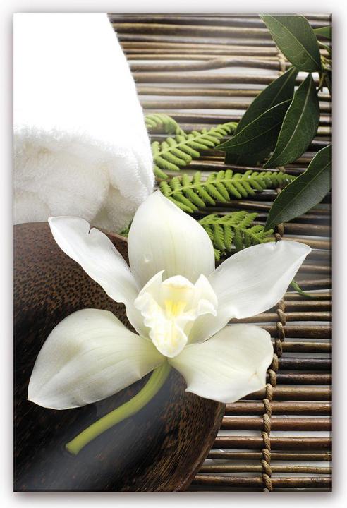 Produktbild Trenddeko Wellness Orchidee (60 x 40 cm)