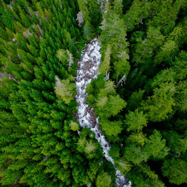Produktbild PolarPro Standard Series Filter (DJI Mavic Pro)