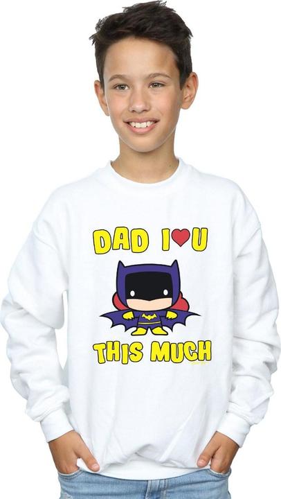 Image du produit - Sweat BATMAN DAD LOVE YOU THIS MUCH - Garçon (140, 146)