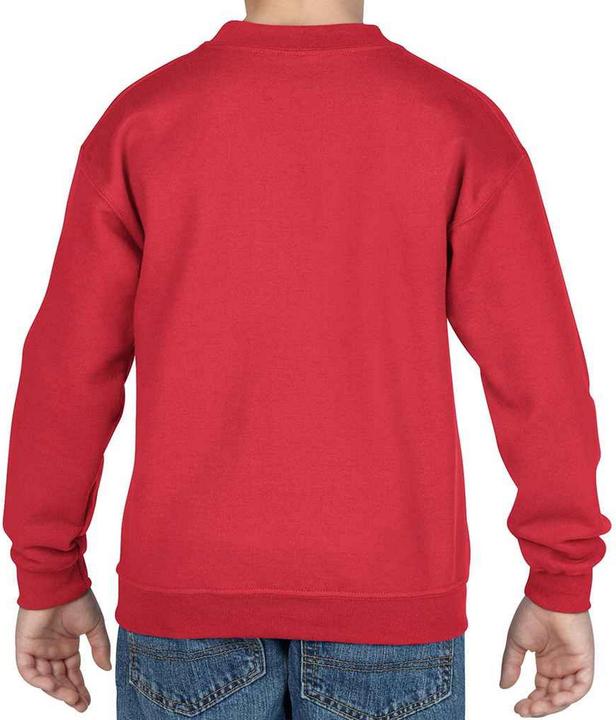 Actual product image Gildan Childrens/Kids Heavy Blend Drop Shoulder Sweatshirt (128)