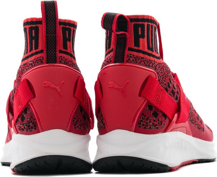 Actual product image Puma Ignite EvoKNIT (45)