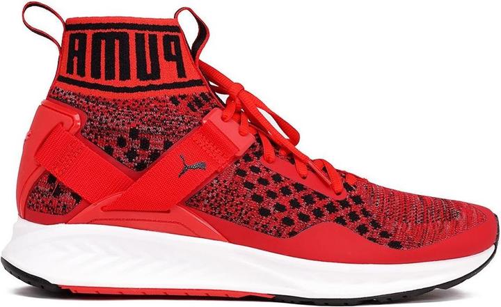 Actual product image Puma Ignite EvoKNIT (45)