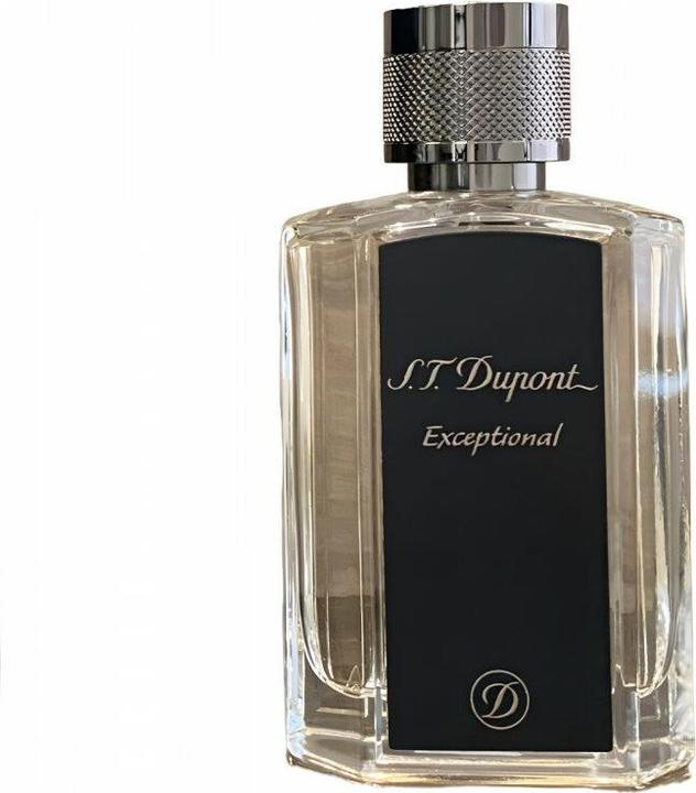 S.T. Dupont ST DUPONT Exceptional EDP spray 100ml (Eau de Parfum, 100 ml)