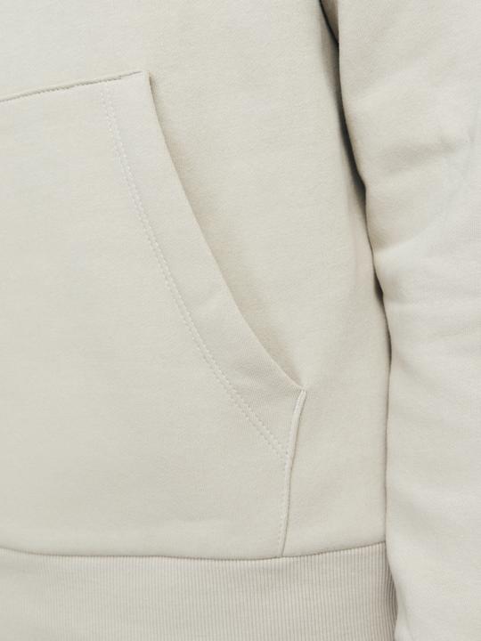 Actual product image Jack & Jones Logo hooded jumper Hooded jumper (M)