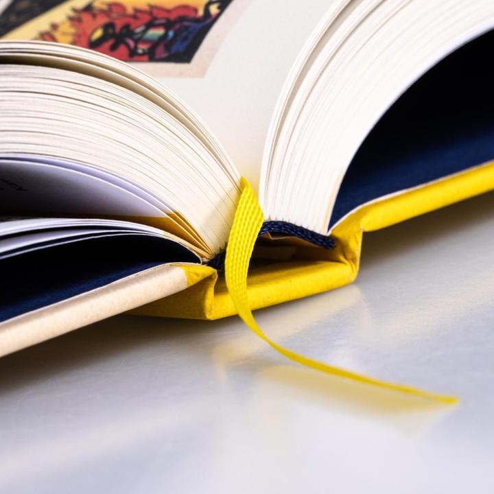 Image du produit Die Bibliothek der Comic-Klassiker: Fix und Foxi und Co (Allemand, 2023)