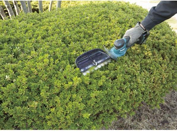 Actual product image Makita Dum604zx (Cordless hedgecutters)