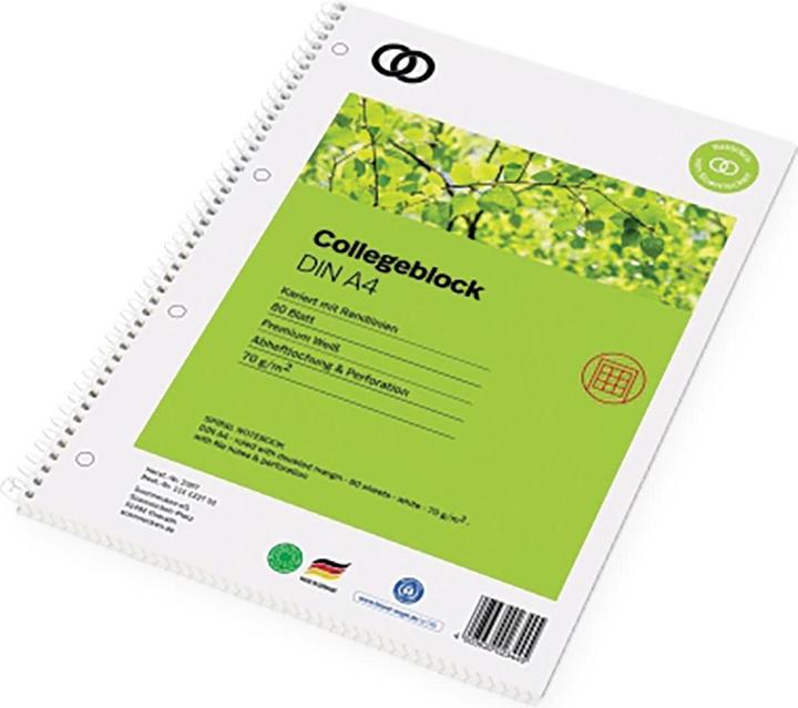 Soennecken Collegeblock oeco Recycling DIN A4 kariert 70g/m² 100 % Recyclingpapier grün 80 Bl. (A4, Kariert, Weicher Einband)